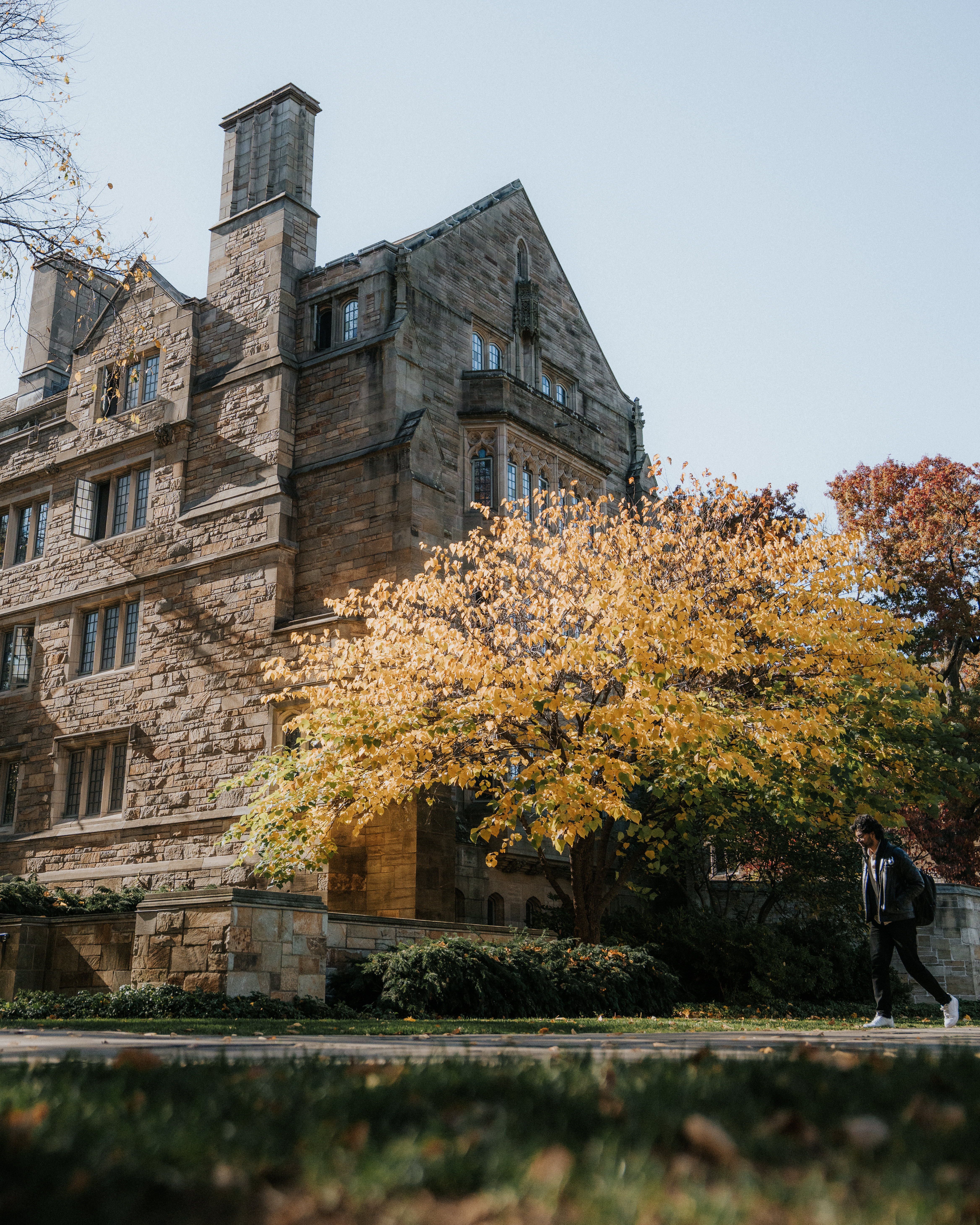 Photo of BK South Court