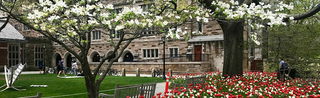 Cross Campus at Berkeley College